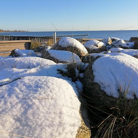 Ferienwohnung "Luv" Grube Ostsee Buitenkant foto