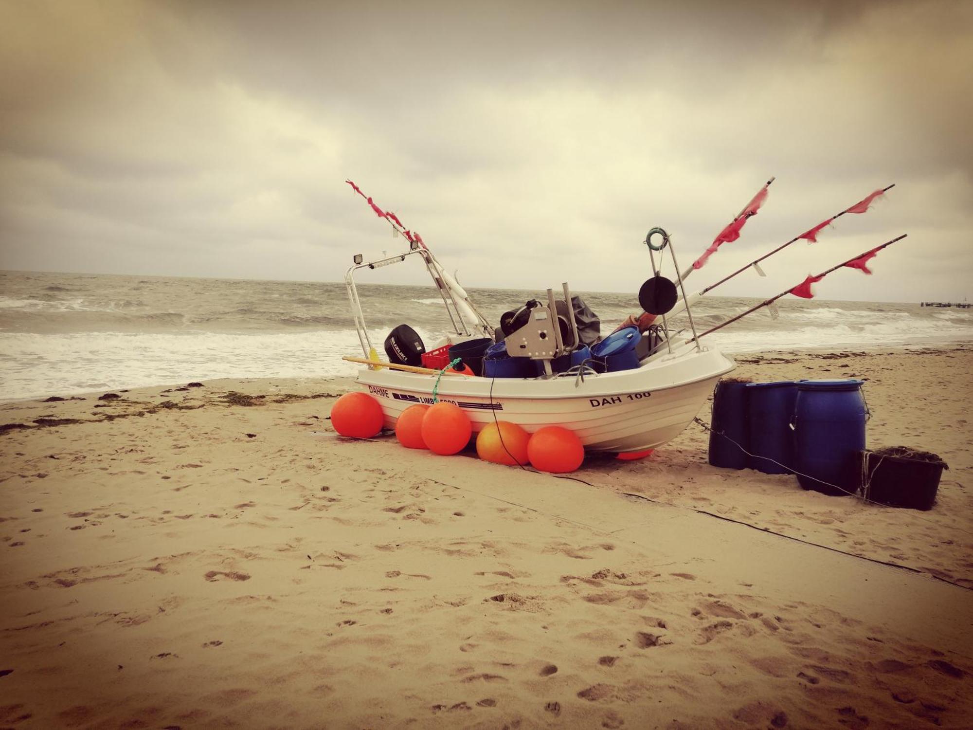Ferienwohnung "Luv" Grube Ostsee Buitenkant foto